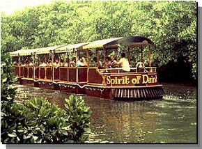 Daintree Rainforest River Trains - Attractions 0