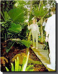 Daintree Rainforest River Trains - Attractions 1