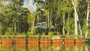 Daintree Rainforest River Trains - Attractions 3