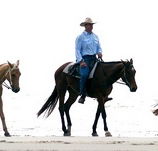 Ride the Beach - Attractions