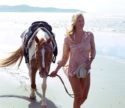 Ride The Beach - Attractions 3