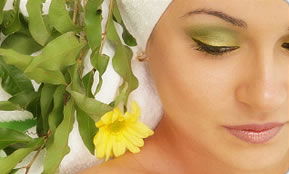 Indica Spa - Attractions 1