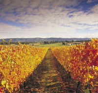 Link Tours - Attractions