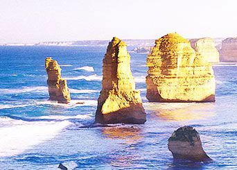Bunyip Tours - Attractions 3