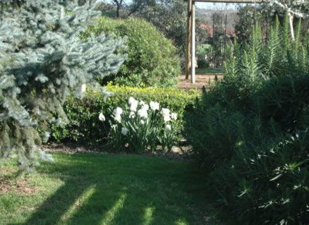 The Old Cheese Factory - Attractions 2