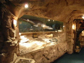 The National Opal Collection - Attractions 2