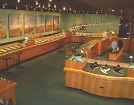 The National Opal Collection - Attractions 3