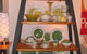 SavvyShopTours - thumb 1