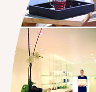Lyall Hotel and Spa - Attractions