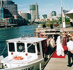 Bay  River Cruises - Attractions