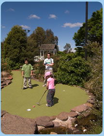 Wheelers Hill VIC Attractions