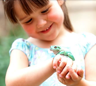 Reptile Encounters - Attractions 1