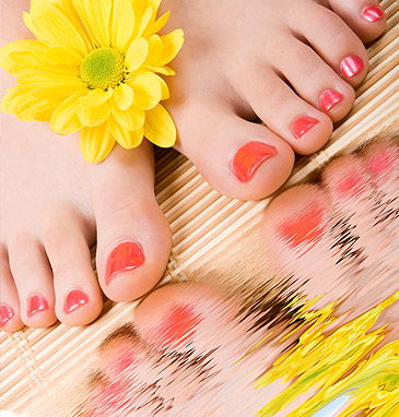 Heavenly Oasis Hair & Beauty Day Spa - Attractions 2