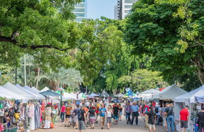 Book Brisbane QLD Attractions Attractions Attractions