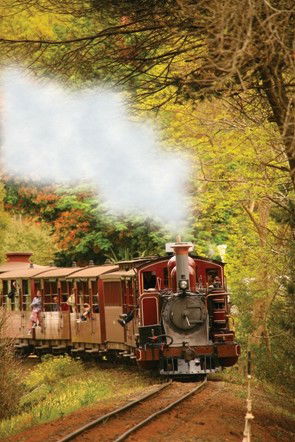 Puffing Billy - Attractions 5