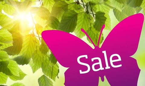 Wintergarden Shopping Centre - Attractions 0