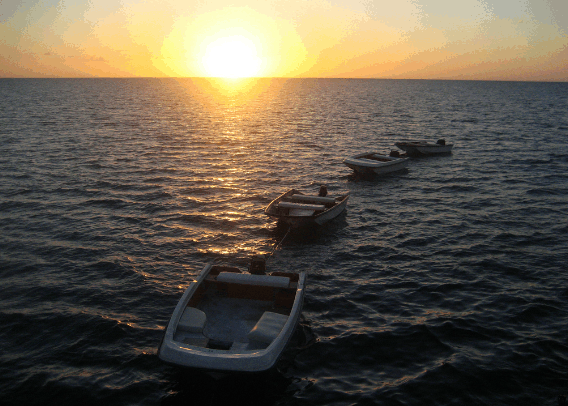 Carlo Fishing Charters - Attractions 2