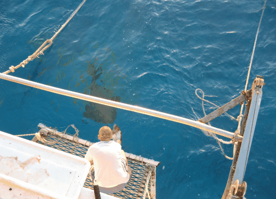 Carlo Fishing Charters - Attractions 4