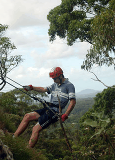 Adventures Around Brisbane - Attractions