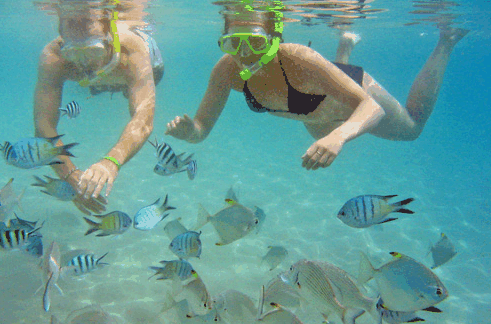 Australian Kayaking Adventures - Attractions 2