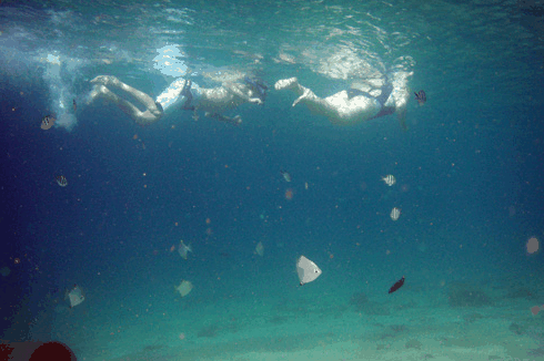 Australian Kayaking Adventures - Attractions 5