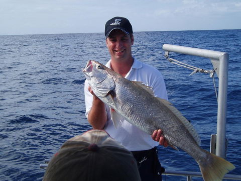 Blue Juice Charters - Attractions 1