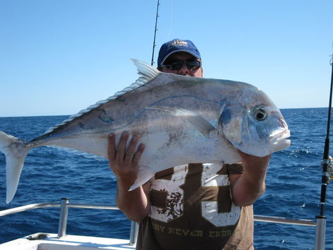 Blue Juice Charters - Attractions 4
