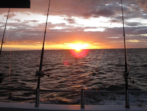 Blue Juice Charters - Attractions 5