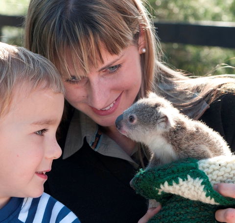 Australian Reptile Park - Attractions 1