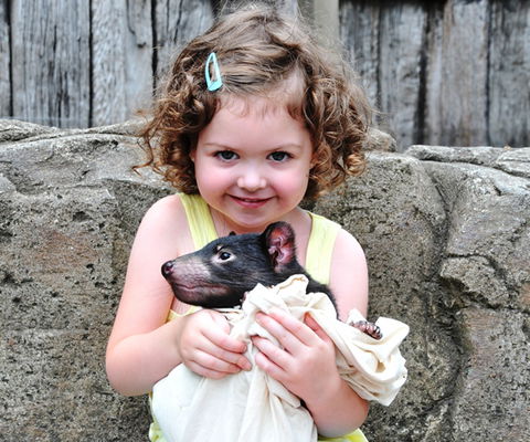 Australian Reptile Park - Attractions 8