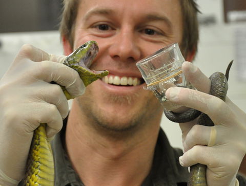 Australian Reptile Park - Attractions 9