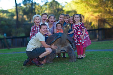Australian Reptile Park - Attractions 11