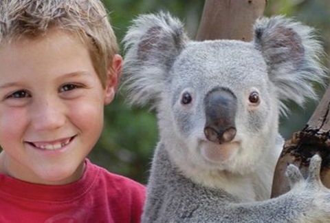 Featherdale Wildlife Park - Attractions 1