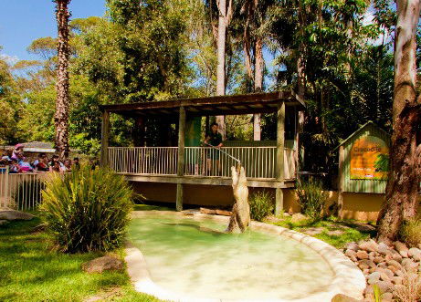 Featherdale Wildlife Park - Attractions 2