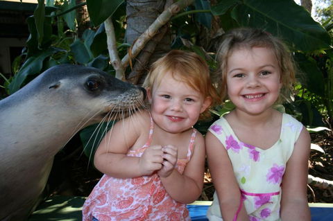 Dolphin Marine Magic - Attractions Las Vegas 0