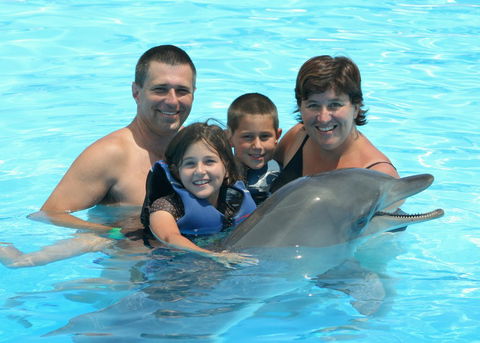 Dolphin Marine Magic - Attractions Las Vegas 2
