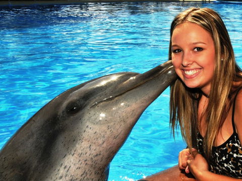 Dolphin Marine Magic - Attractions Las Vegas 3