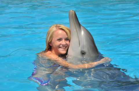 Dolphin Marine Magic - Attractions Las Vegas 5