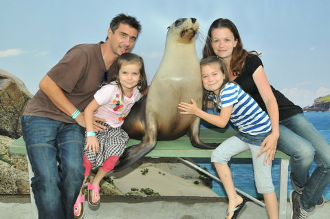 Dolphin Marine Magic - Attractions Las Vegas 6