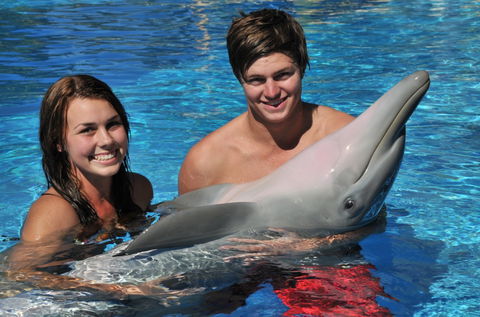 Dolphin Marine Magic - Attractions Las Vegas 8
