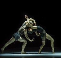 Sydney Dance Company - Attractions
