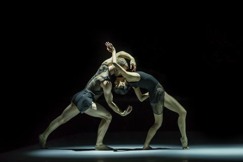 Sydney Dance Company - Attractions 0