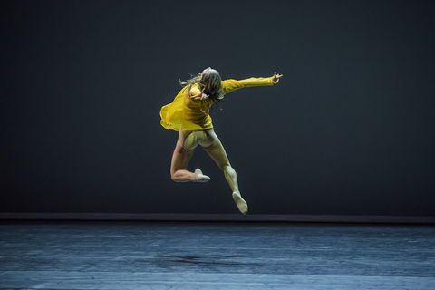 Sydney Dance Company - Attractions 1