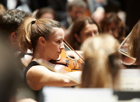 Sydney Symphony Orchestra - Attractions 3