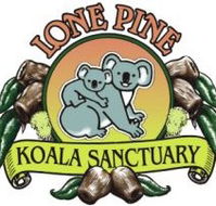 Lone Pine Koala Sanctuary - Attractions