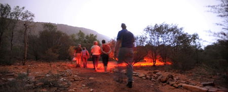 Alice Springs Desert Park - Attractions 4