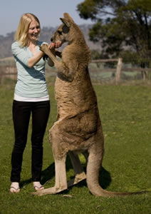 Zoo Doo Wildlife Park - Attractions 5