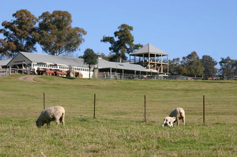 Calmsley Hill City Farm - Attractions 3