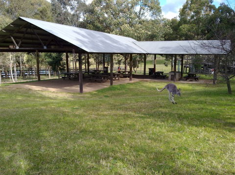 Calmsley Hill City Farm - Attractions 5