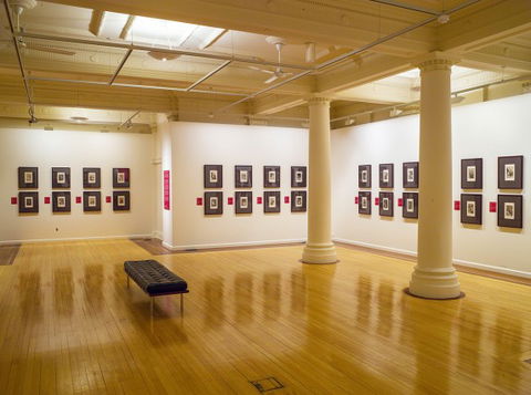 Cairns Regional Gallery - Attractions 2